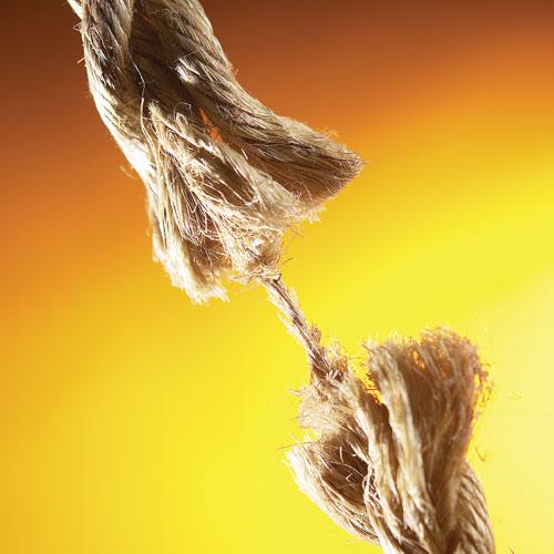 Islahat Projeleri ve Islah 