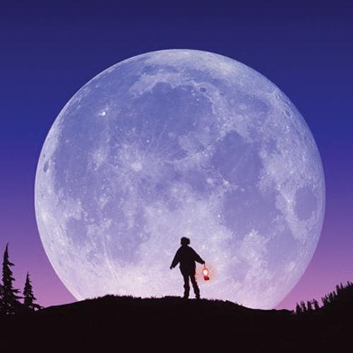 Yeryüzünün Misafirleri