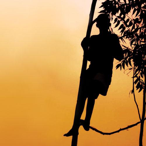 Bir Yabancıdır O Çocuklar