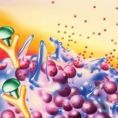 Mevsime Bağlı Alerjiler