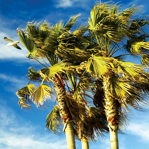 Yüzü Suyu Hürmetine