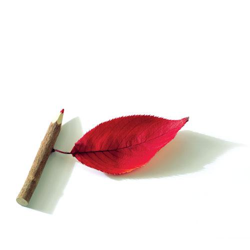 Sözümüz Söz Olanda