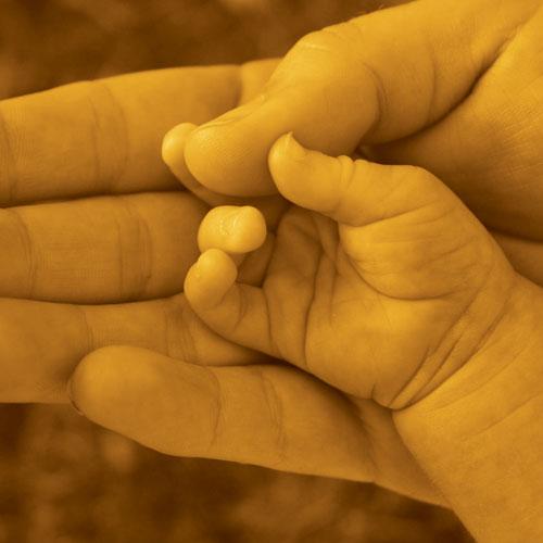 Onlar Vicdanımız Dayanağımız