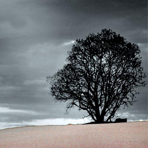 Muharrem Ayının Onuncu Günüydü