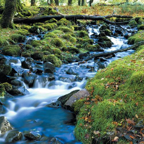 Varlığın Dirilişl Ayini: Nisan