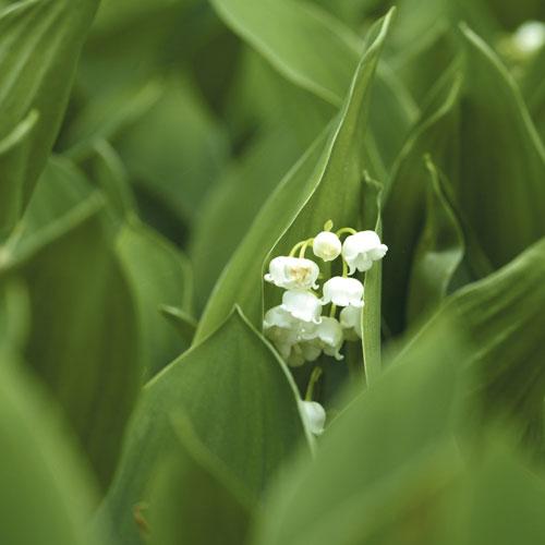 Yeniden İnşa Dönemi
