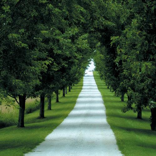 Birlikte Yola Çıkmak