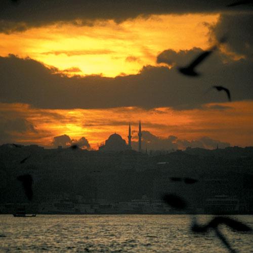 İstanbul'u Aç Gülzâr Yap