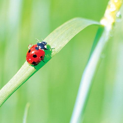 Dua ve Niyazların Yankılandığı Evren