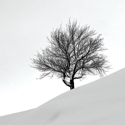 Kar Kalkar Topraktan