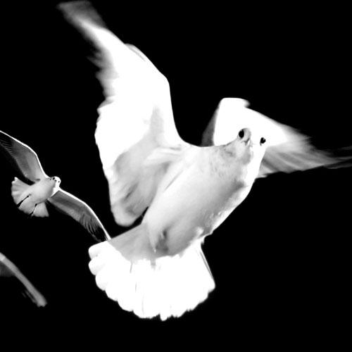 Bırakın Aşk Masum Kalsın