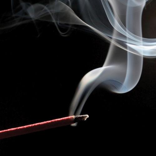 Kokan Bir Dünyada Yaşamak