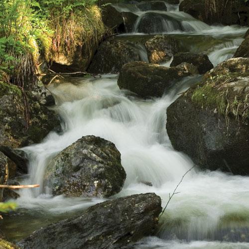 Tabiatın Ruhunda Yolculuk