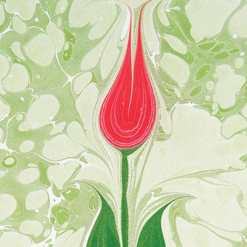 Beden Ülkesinin Sultanı: Kalp