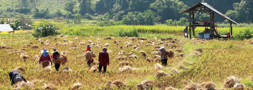 Tasavvufî Hayat ve Geri Kalmışlık
