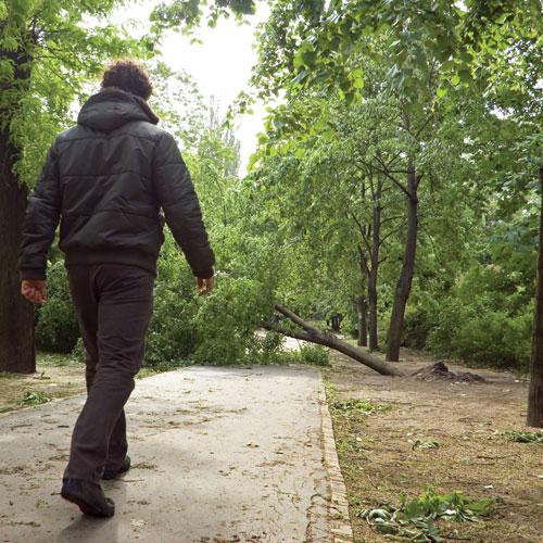 Allah Dostlarına Yakınlık
