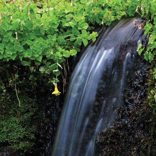 Yıldızlardan Mahya Yapmak