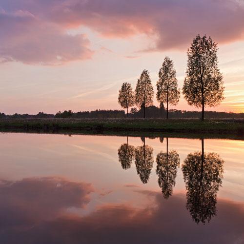 Olduğumuz Gibi mi Görünüyoruz?