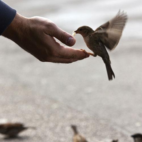 İyilik Yap İyilik Bul