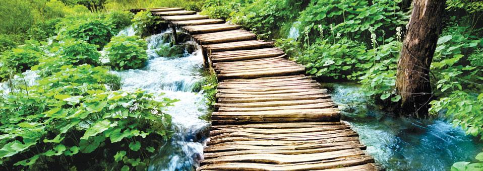 Ümit ve Korku Arasında