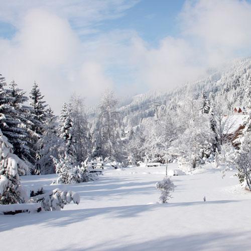 Kar Altında Hüzün Denemesi