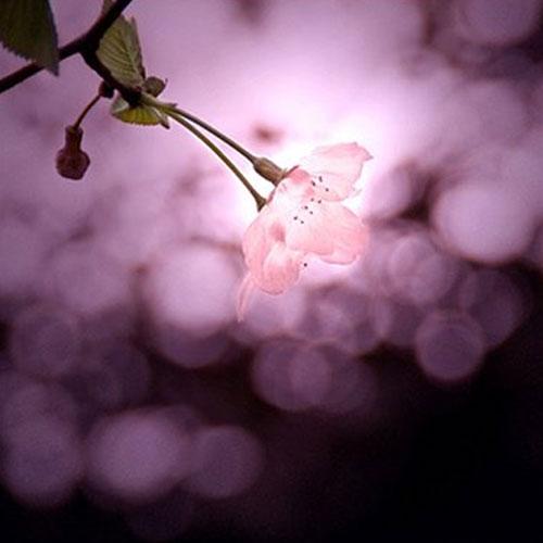 İtidal İçin Sabır