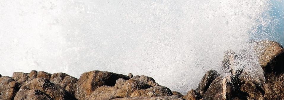 Tartışma Hastalığı