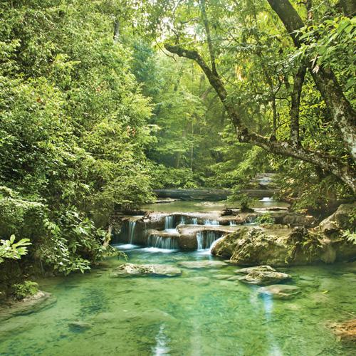 Halka Açık Kalbe Gizli