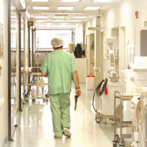 Hastane Önünde İncir Ağacı