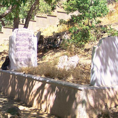 İrşad Kutbu: Seyyid Taha-yı Hakkarî k.s.