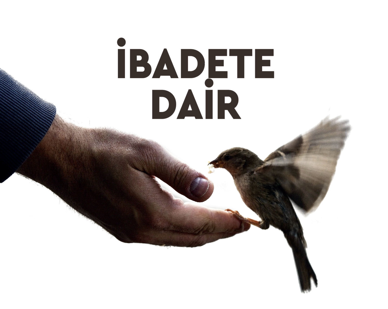 Halil İbrahim Evlek