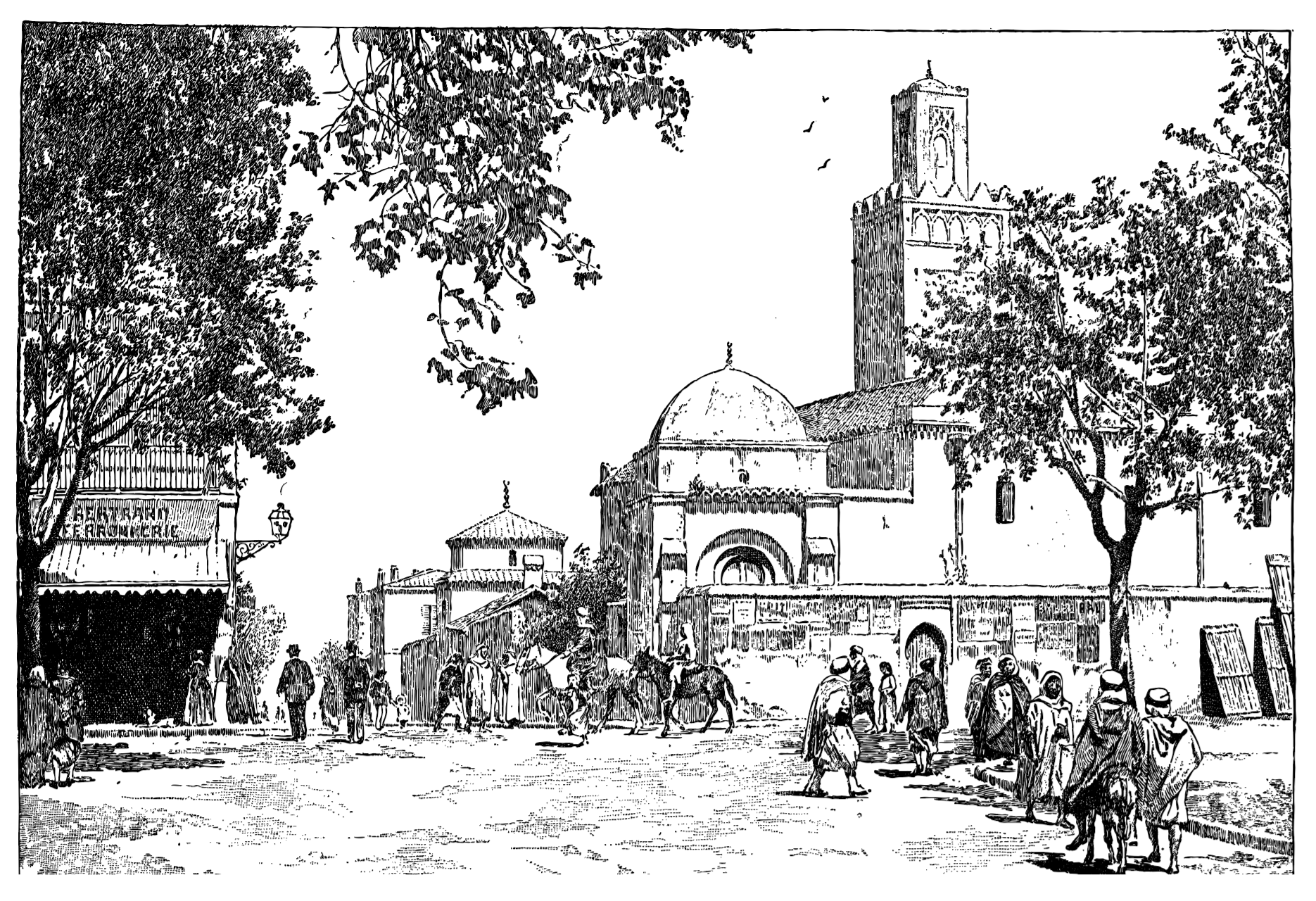 Abdurrahman Mıhçıoğlu