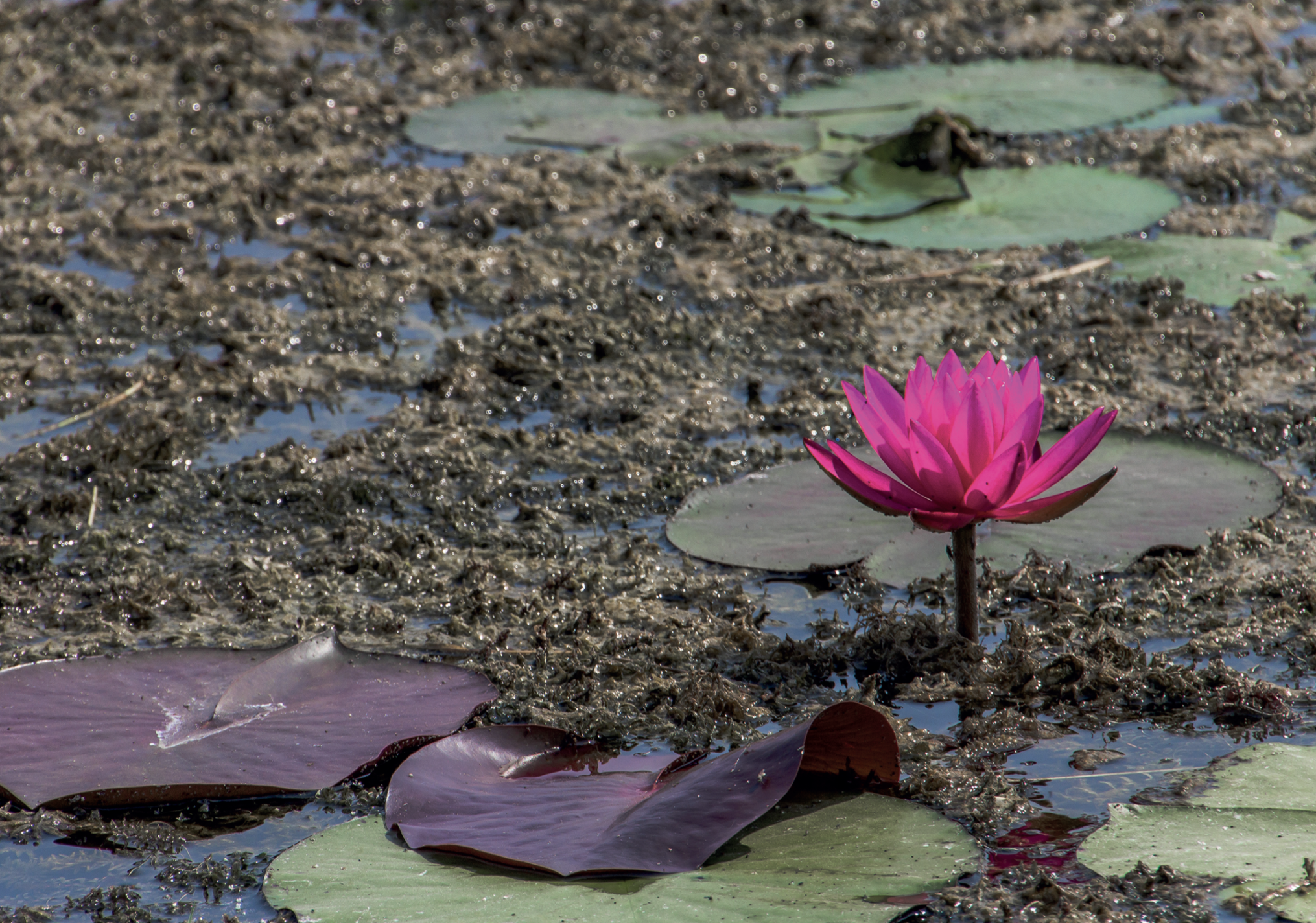 Tehlike nin Farkında mıyız?