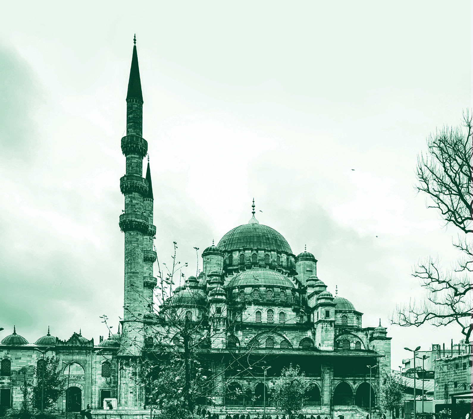 Müminlerin Vasıfları