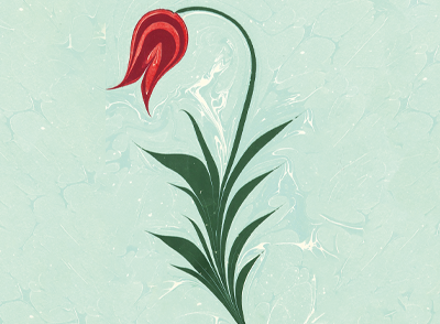 İslâm’da Asil ve Avam