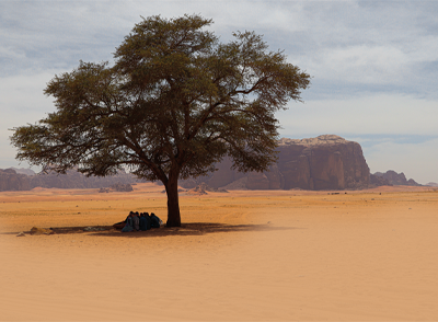 Allah’ı Bildim Diyorsan