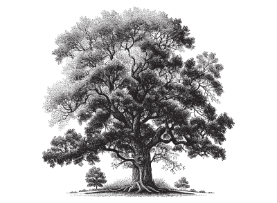 Bir Mektubu Bekler Gibi