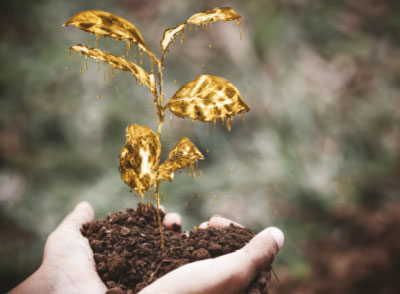 Kalplere Dikilen Putlar