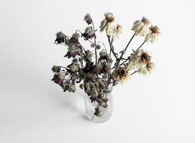 Ansızın Çağrılmadan