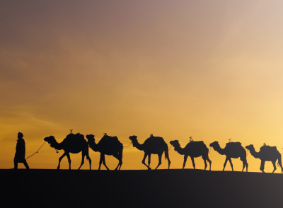 Semerkand Seyahat Günlüğü