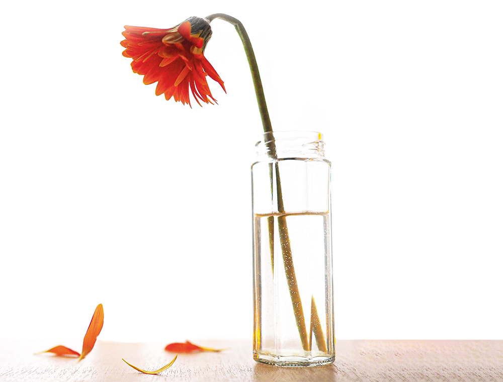 Tevazu ile Yücelmek