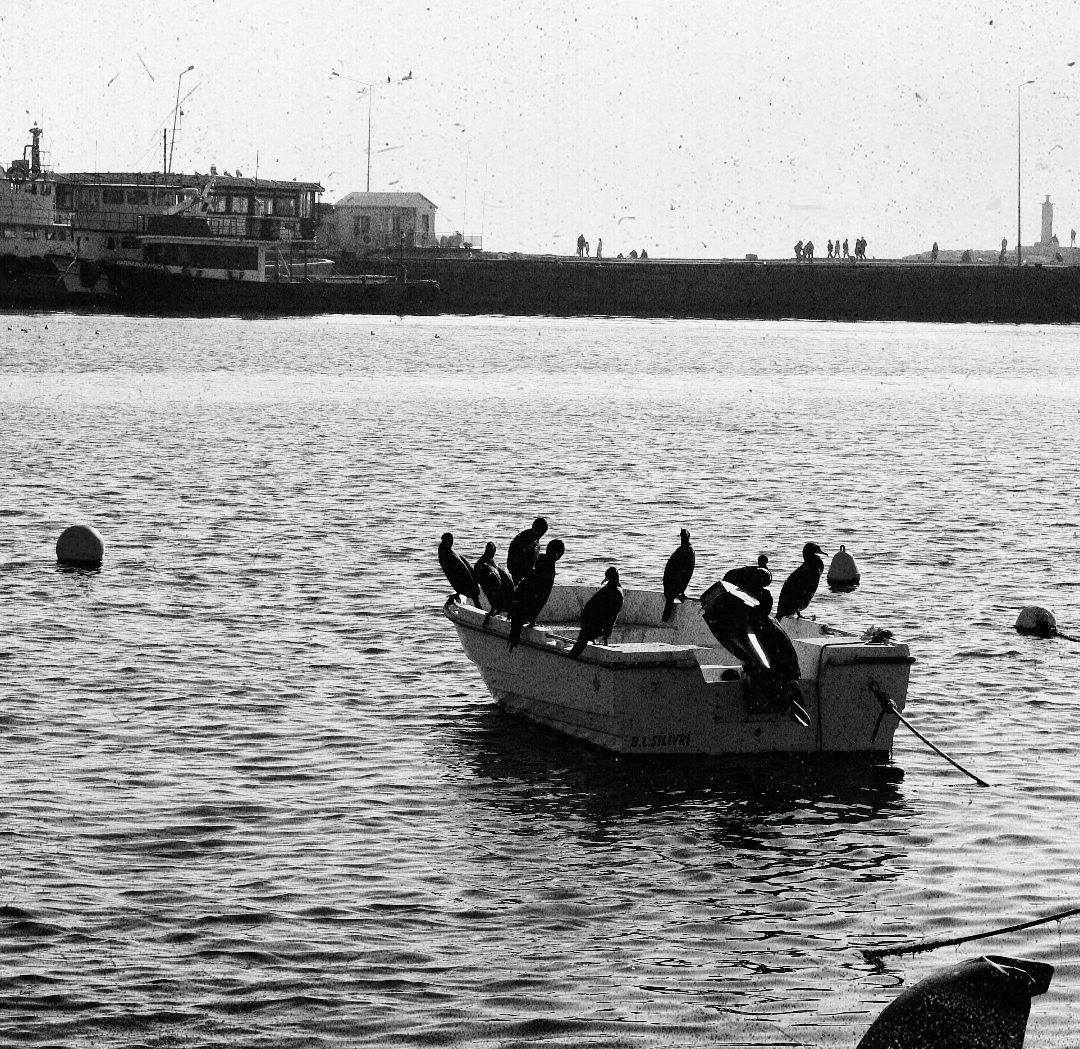 Rehbersiz Yol Gidilir mi?