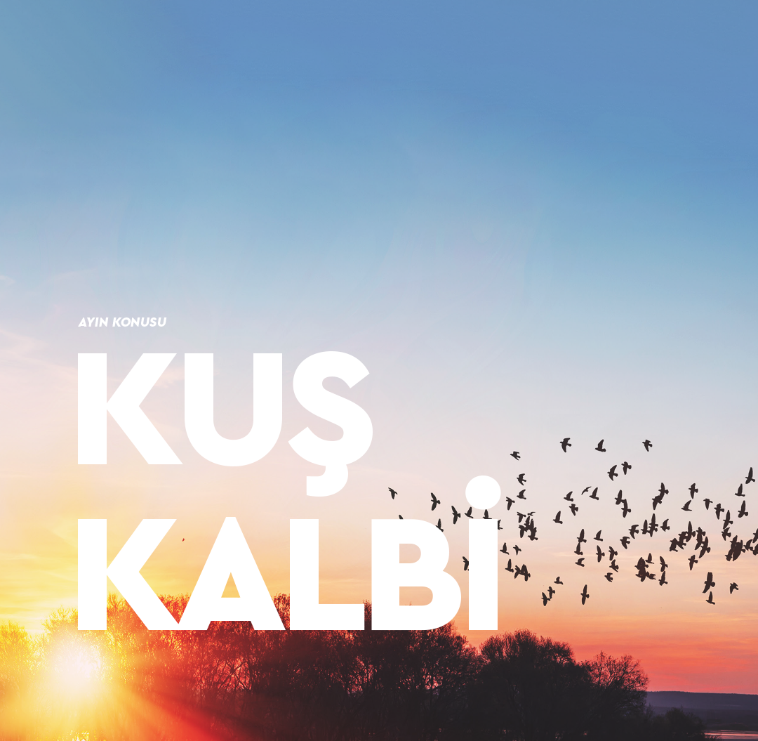 Kuş Kalbi