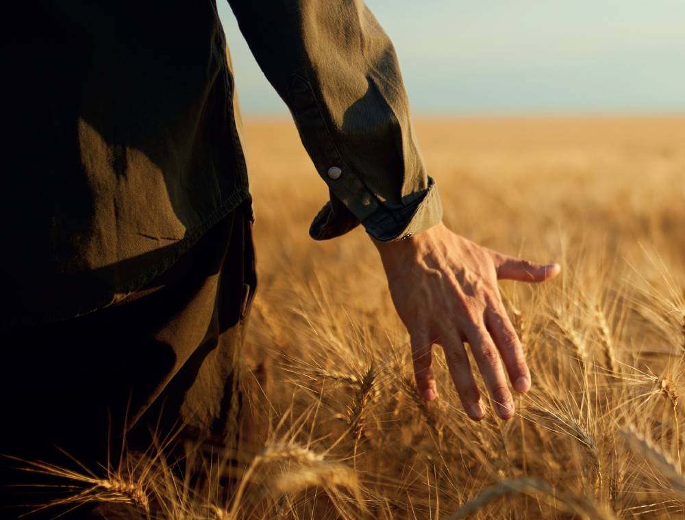 Uzun Ömür Geniş Ömür