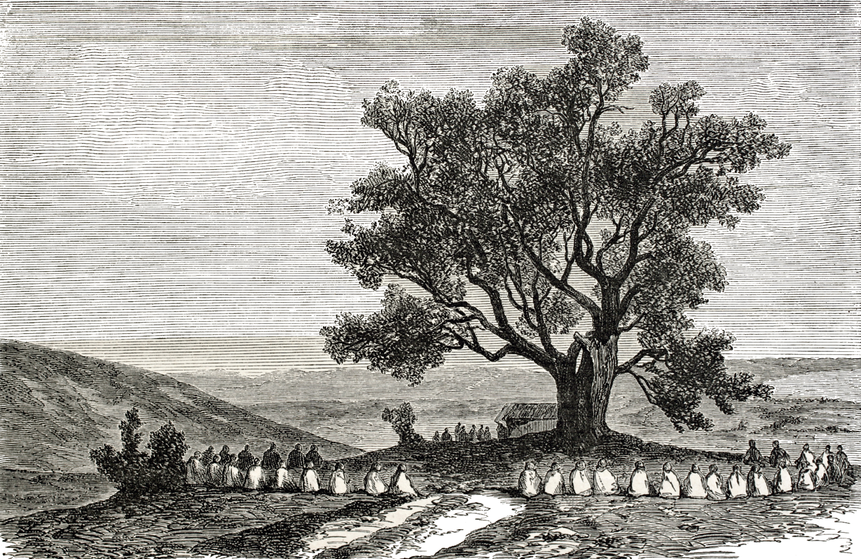 Seçilmişlerin Ameli