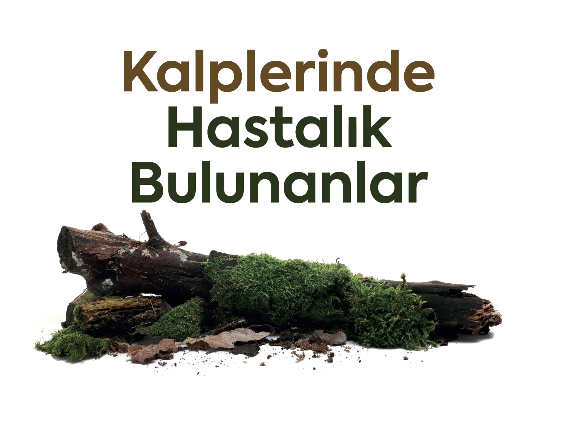 Kalplerinde Hastalık Bulunanlar