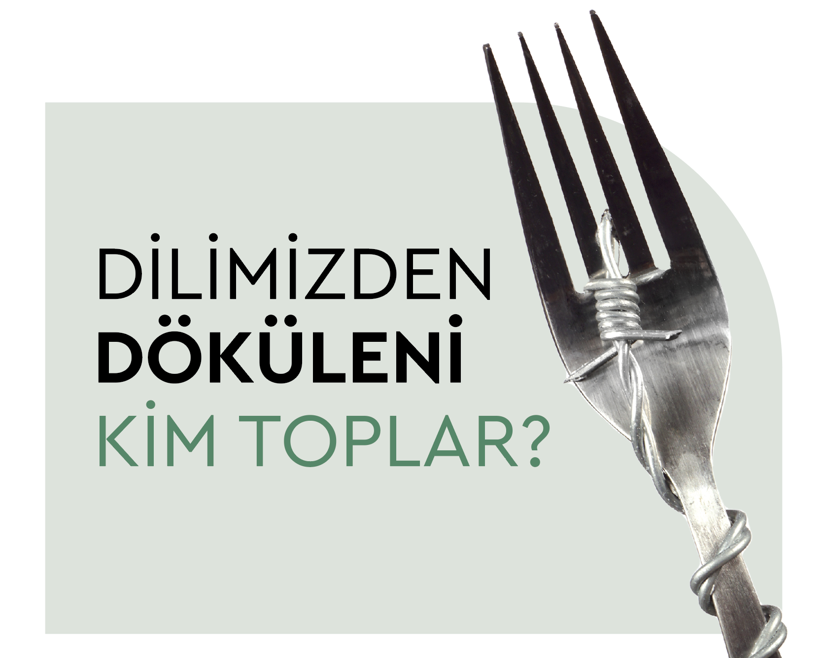 Dilimizden Döküleni Kim Toplar?